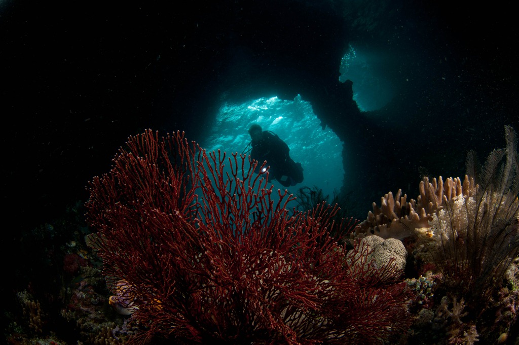 2010 Raja Ampat, Boo Windows