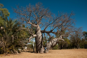 katherine-2009-4