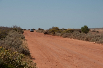 pilbara-22