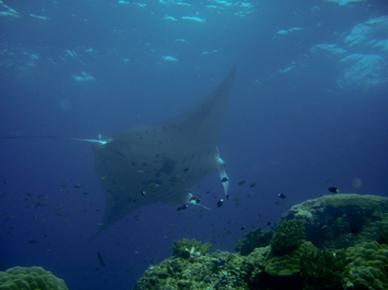 raja-ampat-2009-17