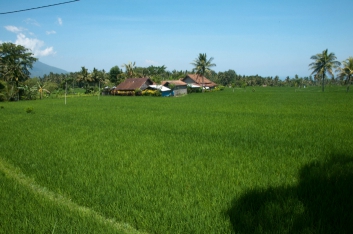 bali-2009-11