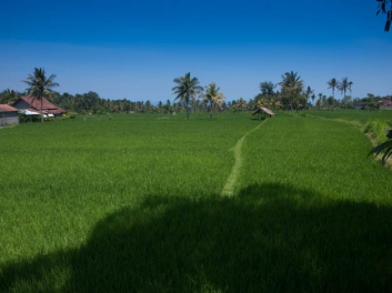 alam-batu-8598