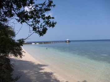 wakatobi-tauchen-4-tag-canon-90