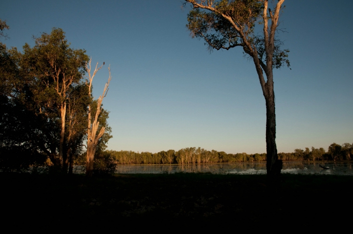 kakadu-10