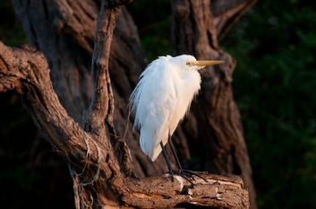 Kakadu Nationalpark