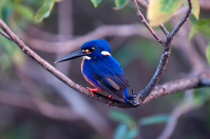 Kakadu Nationalpark