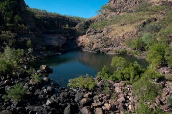 kakadu-24