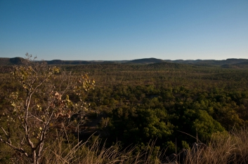 kakadu-30