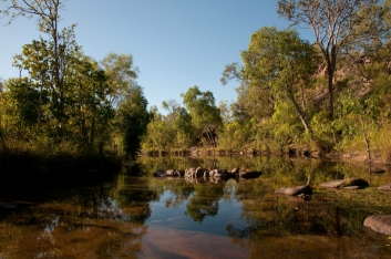 kakadu-31