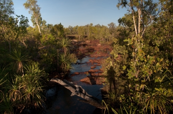 Above Wangi Falls